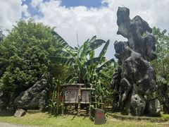 -云南勐巴娜西珍奇园