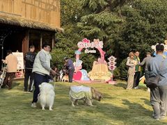 -上海神旺大酒店