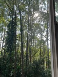 -爱丽馨御景月子中心