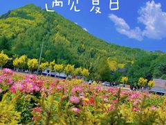 -五台山风景区