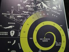 -中国西峡恐龙遗迹园