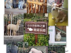 -上海崇明金茂凯悦酒店