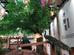 -大理董·董家小厨野生菌火锅(古城旗舰店)