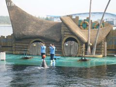 -秦皇岛乐岛海洋王国