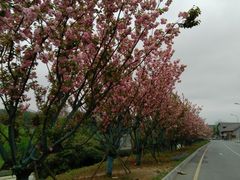 -贵阳市花溪国家城市湿地公园