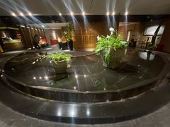 -青藤茶馆(凤起路店)