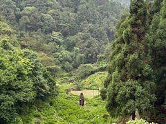 -鼓岭旅游度假区