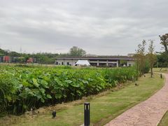 -上海怡沁园度假酒店