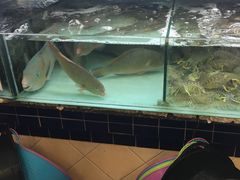-班赞海鲜市场