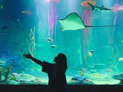 -沈阳海洋探索中心