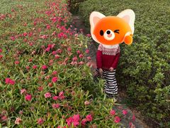 -天河儿童公园