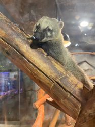 -Zoolung Zoolung动物主题公园(海信广场店)