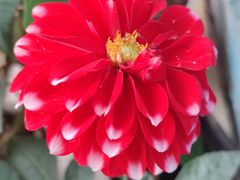 -丰收日(五角场店)