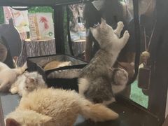 -成都世纪城新国际会展中心