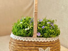 -兴芮温泉度假区