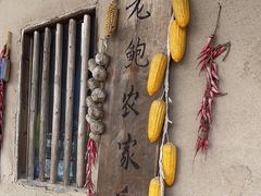-老鲍农家乐