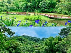 -佛山市三水区大南山森林公园