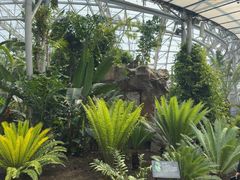 -北京植物园-展览温室