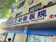 -成都民大动物医院