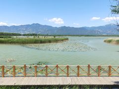 -野鸭湖国家湿地公园