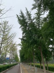 -HEYAN长风荷妍专业脱毛美肤
