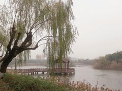 -上海市保健医疗中心(华东疗养院)