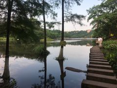 -重庆彩云湖湿地公园