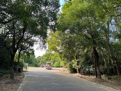 -上海海湾国家森林公园