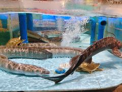 -阿伟海鲜楼·福建菜(延寿店)