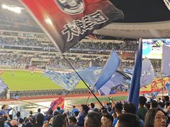 -南京奥林匹克体育中心-体育馆