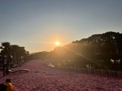 -苏州太湖西山岛开心农场