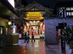 -小龙翻大江文化火锅(宽窄店)