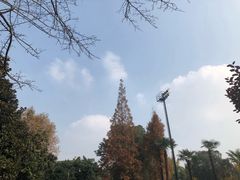 -四川大学(华西校区)