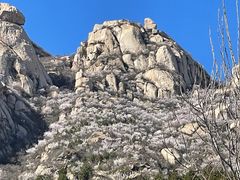 -北京凤凰岭