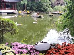 -汇龙潭