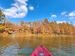 -上海海湾国家森林公园