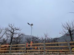 -吉姆冒险世界(蓟州店)