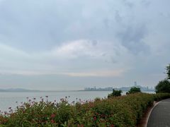 -深圳湾公园(南山区)