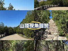 -府君山公园