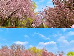 -元大都城垣遗址公园