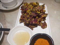 -滇铺子·云南特色菜·第九届野生菌美食节(曲靖万达店)