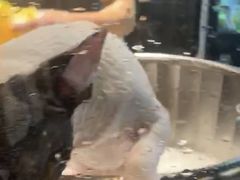 -PETKIT小佩宠物·低压洗护(国顺东路店)