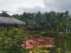 -沙美村