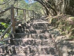 -大鄣山卧龙谷景区