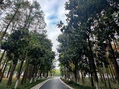 -月湖风景区