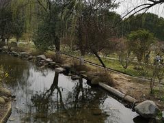 -白马涧龙池景区