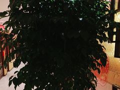 -西贝(六里桥旗舰店)