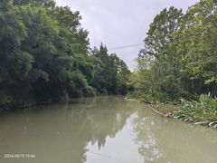 -桤木河湿地公园