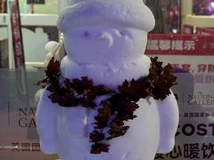 -沈阳奥体冰雪嘉年华
