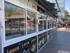 -尚庄度假村·庭台树下·户外烧烤·团建CS·轰趴营地(上庄水库店)